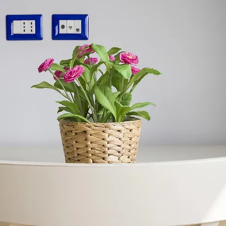 Apartamento Primopiano - Rg12