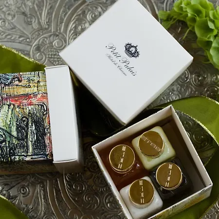 מלון Petit Palais De Charme 4*