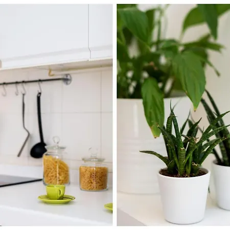 Apartmán Stampa Flexyrent