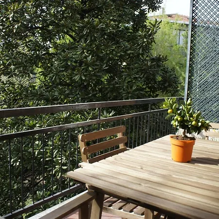 Bed & Breakfast Lotus 5*