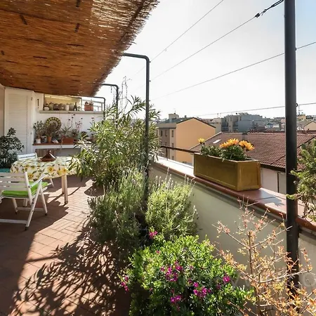 Easy Welcome Euphorbia Terrace *