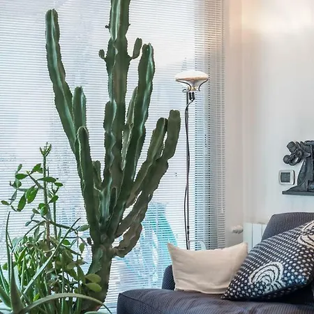 Apartment Easy Welcome Euphorbia Terrace *