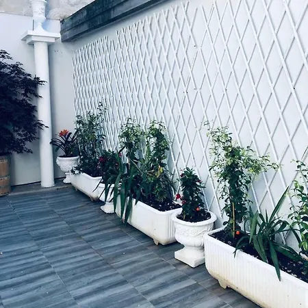 Naviglio81 Milano