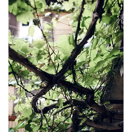 Taking A Walk In The Beating Heart Of Navigli Apartmán