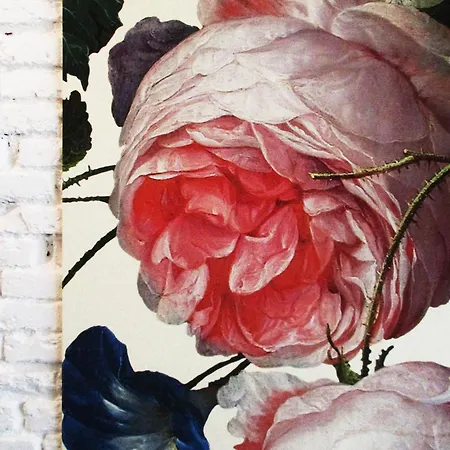 بيت ضيافة 15 كوينديتشي باي سيرينديبيتي روومز 4*