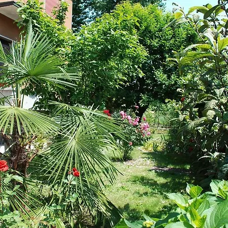 D'eco * Milan