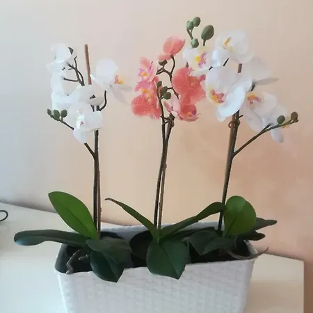 Pensjonat Duomo 15 Minuti Mediolan