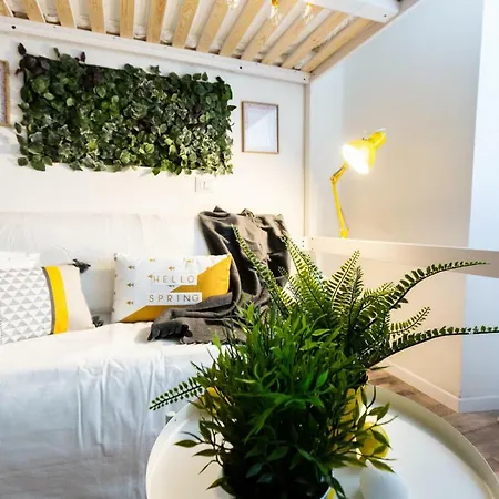Apartman Mamiani 2
