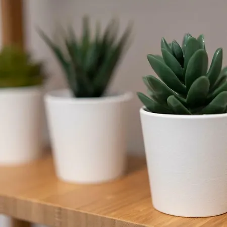 Apartment Station Milan