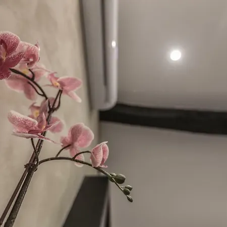 Stylish Near Duomo * 米兰