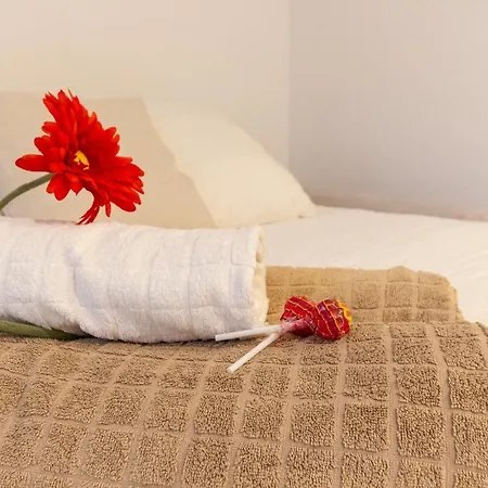 Alessia's Flat- Politecnico *