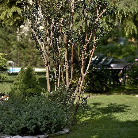 ホテル Corvetto Porto Di Mare