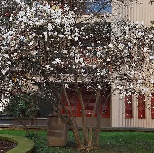 达娜度假屋 公寓 *