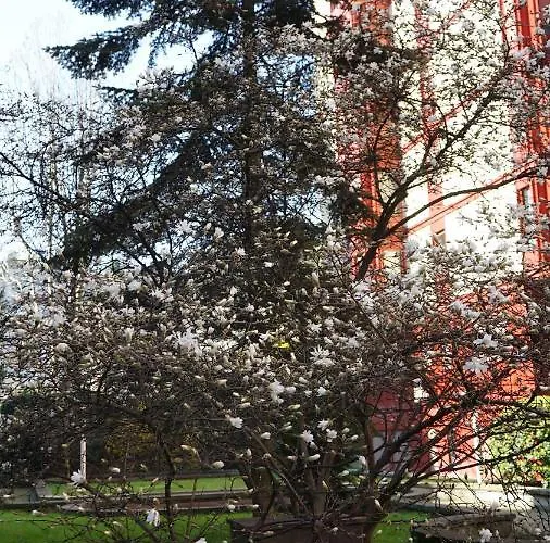 达娜度假屋 公寓 *