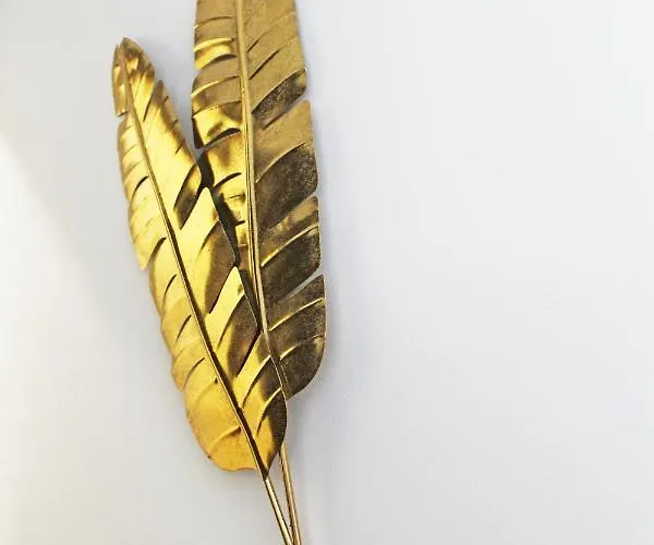 Hrt بيت ضيافة