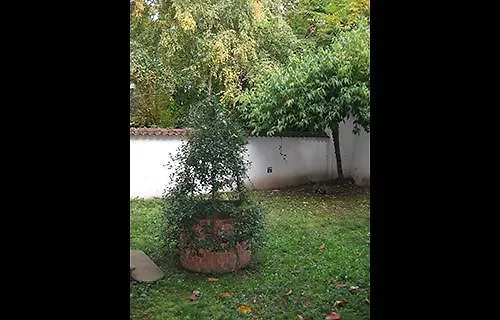 Casa Calicantus 4*