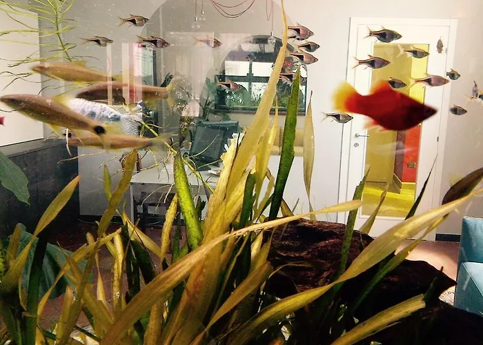 Ai Due Orsi Milánó