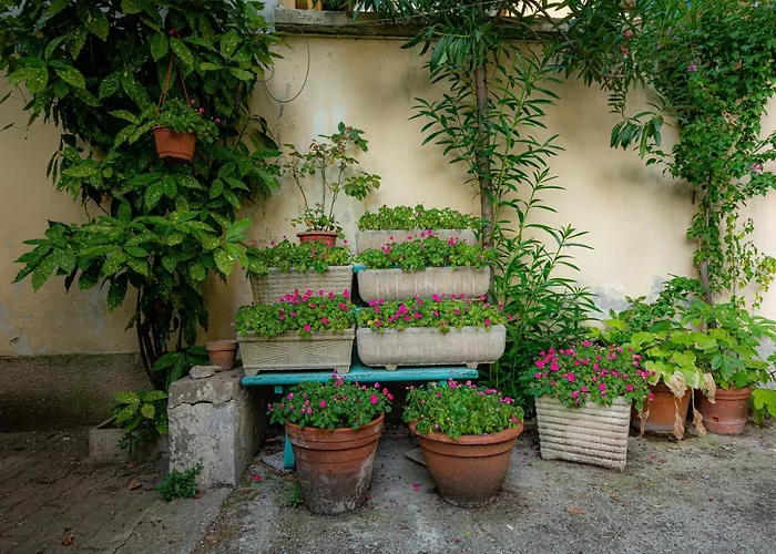 Apartment Secret Garden In The Heart Of Isola