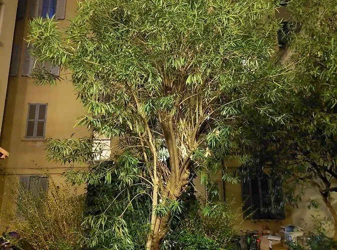 Donatello Pensionat Milano