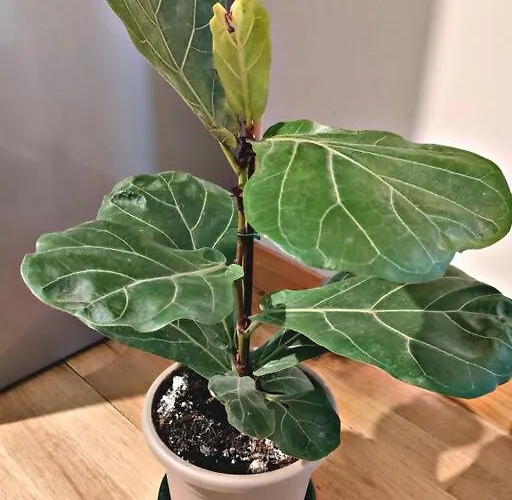 Daire Relax - Navigli