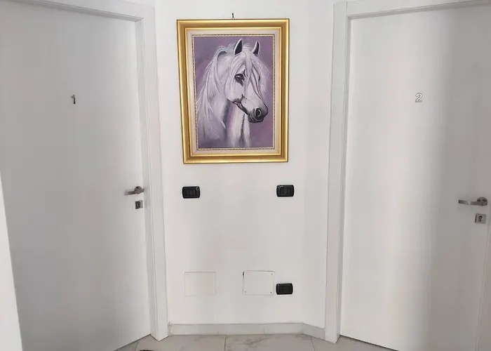 Jolly בית הארחה