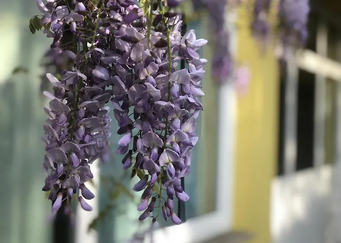 Loft Sottolalbero * Milaan