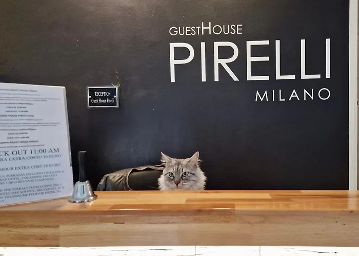 Pirelli Guest house 3*