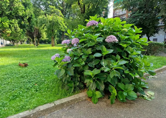 Giardino Sul Naviglio Apartman Milánó