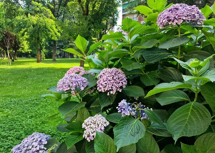 Giardino Sul Naviglio * Milánó