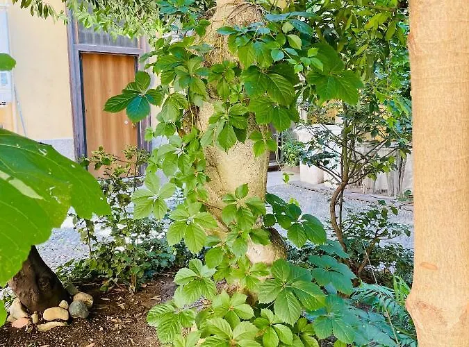 Leafy Sunshine, Bilocale In Porta Venezia, Con Metro A 1 Min A Piedi Lägenhet