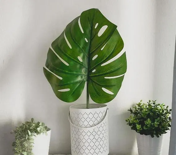 Solution Solari Milán