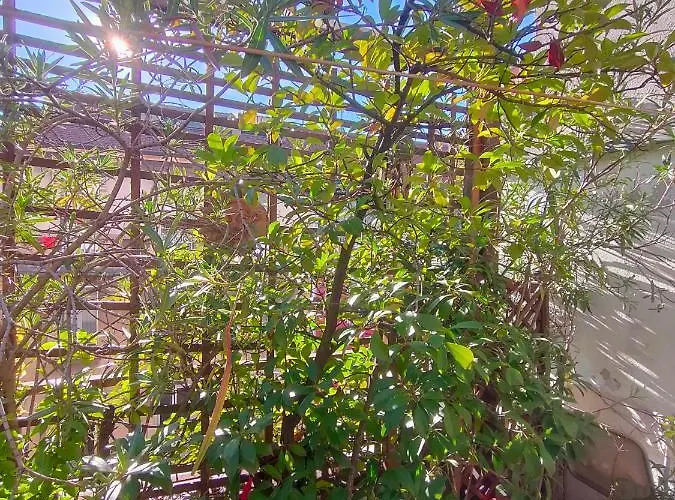 Lovely Gazebo 公寓