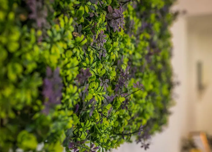 Ca Tripilla * Милан