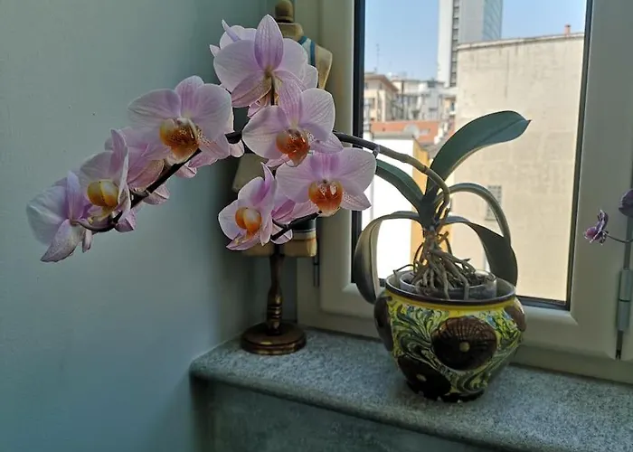 Appartement Centrale-luxury With Garden Terrace *