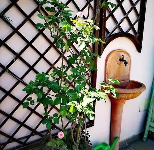 Centrale-luxury With Garden Terrace Appartement