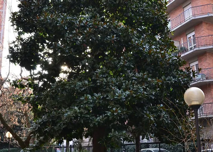 Mocenigo4 아파트 *