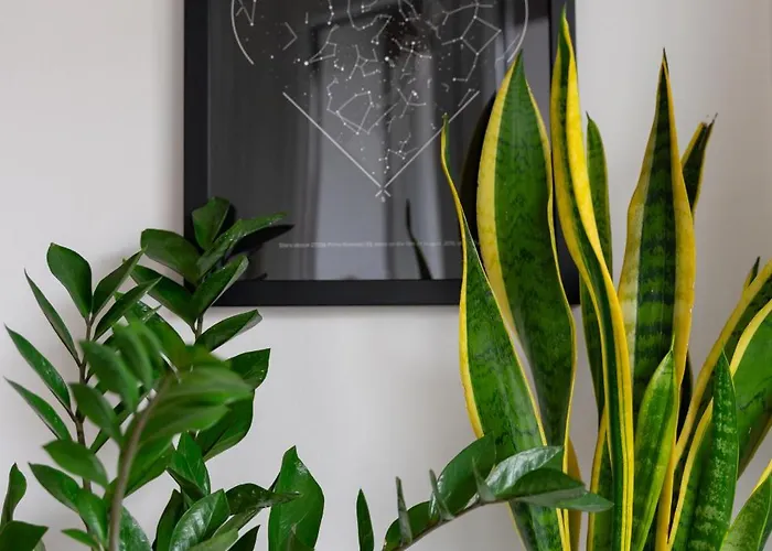 Apartment - Centro Storico Mailand