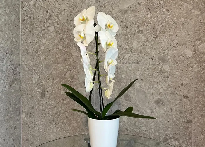 Miap Orti 31 Appartement