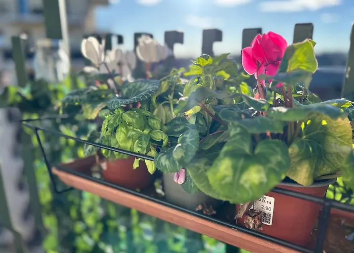 Casa Expo Sp Bed & Breakfast