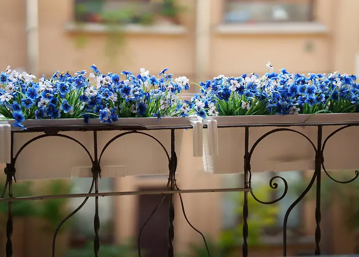 Rent - Modern Flat 아파트