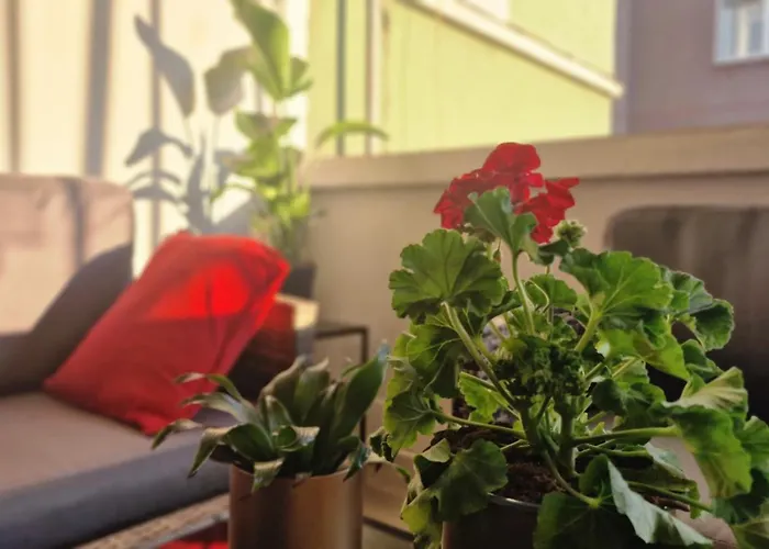 Lägenhet La Casa Di Tom - Homy *