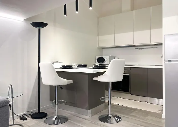 Elegant And Silent Loft In The Center Of 公寓 *