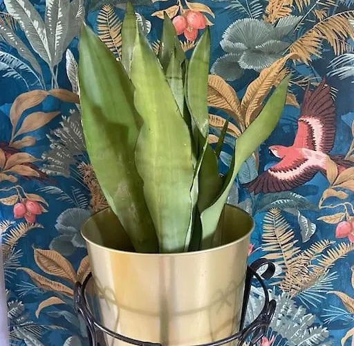 A Casa Di Gin Milán