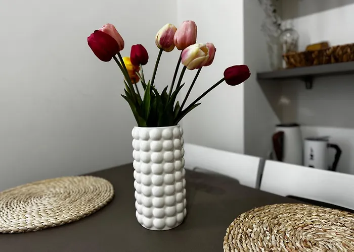 Apartman Regina In Corso Lodi - Sky Tv, Wifi E Breakfast Box *