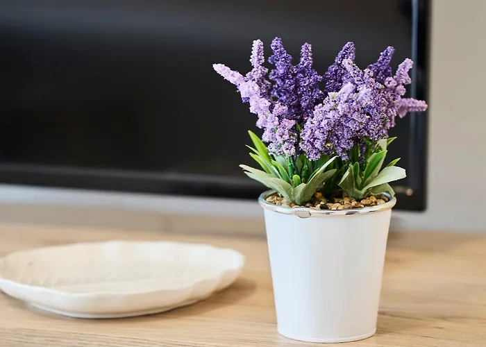 Bicocca Elyon Apartment *