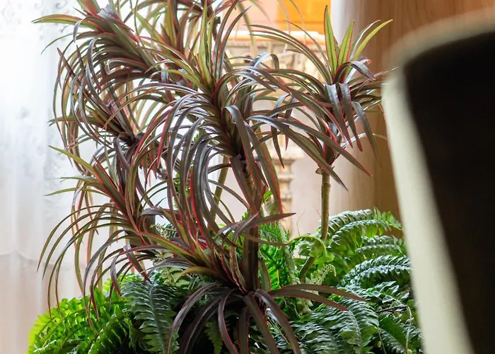 Da Enzo Centro شقة *