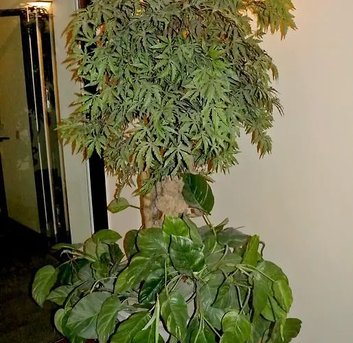 Duomo House Apartmán Milán