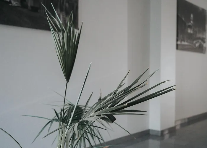 Tolstoi Appartement Milaan