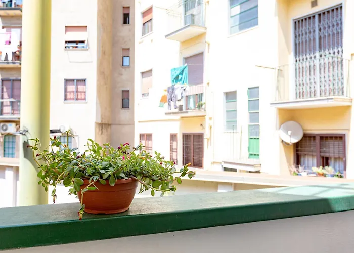 Citta Studi - Collection بيت ضيافة 4*