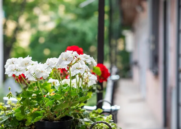 Nawa Navigli Apartamento